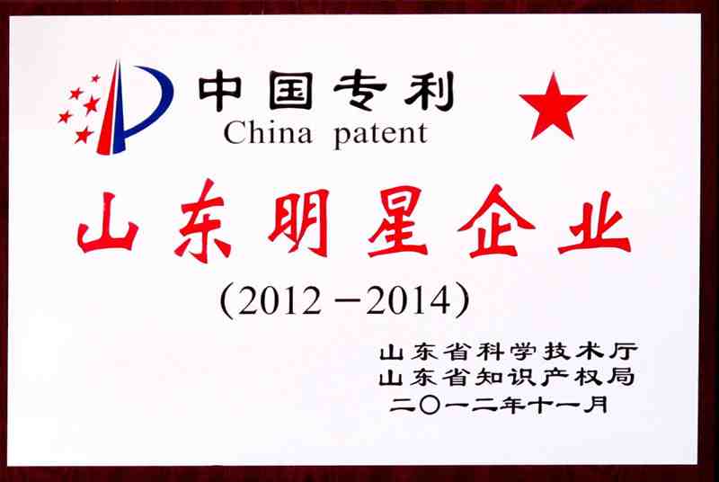 中國專利山東明星企業